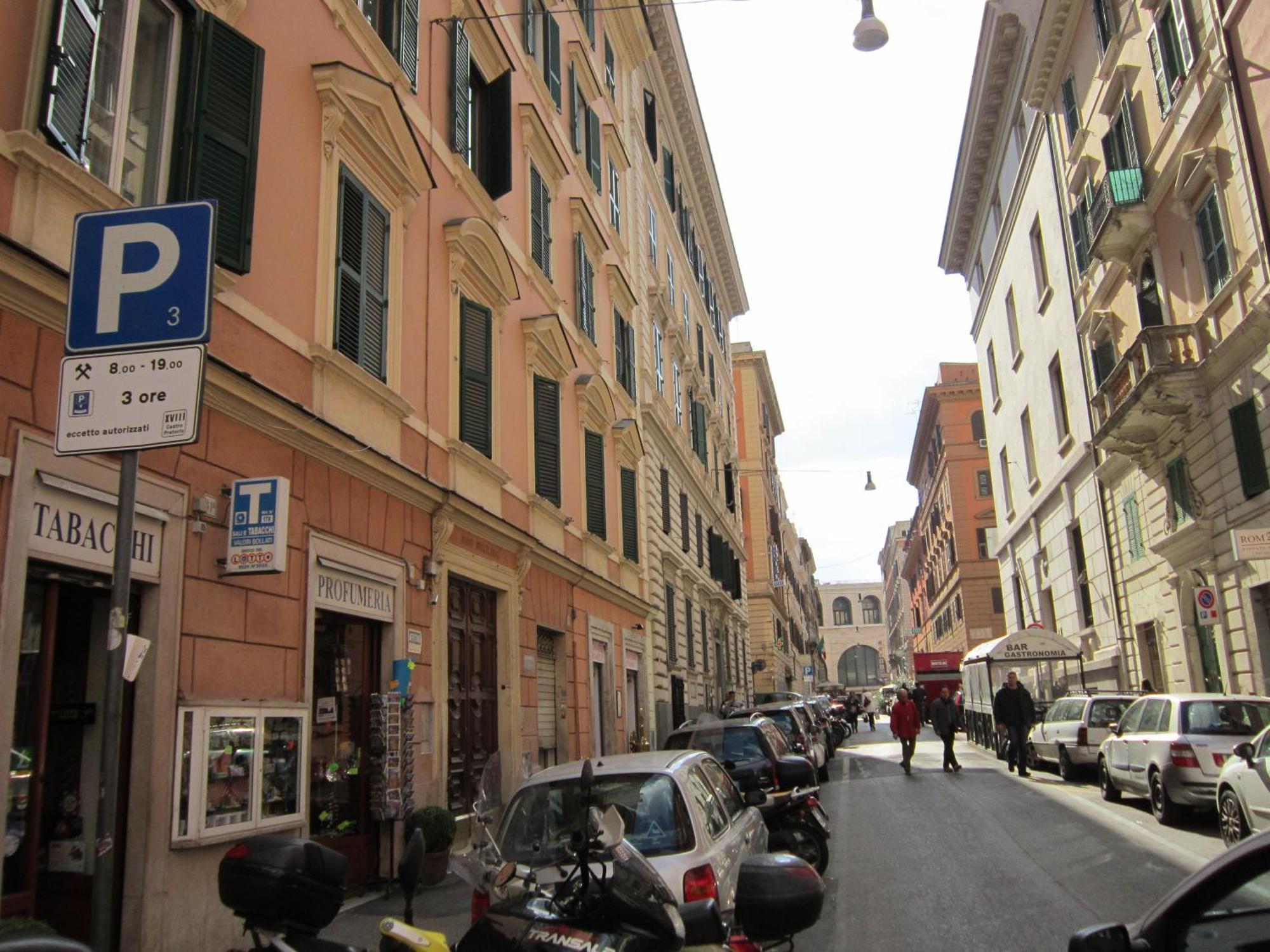 Evergreen Roma